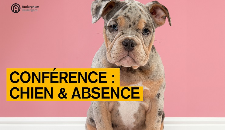 Conférence : chien & absence