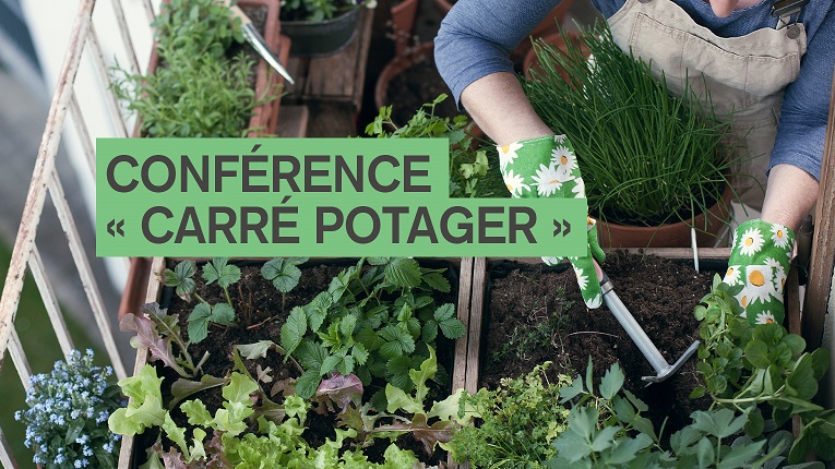 Conférence « carré potager »