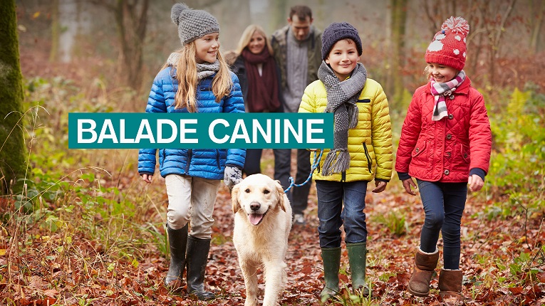 Balade canine