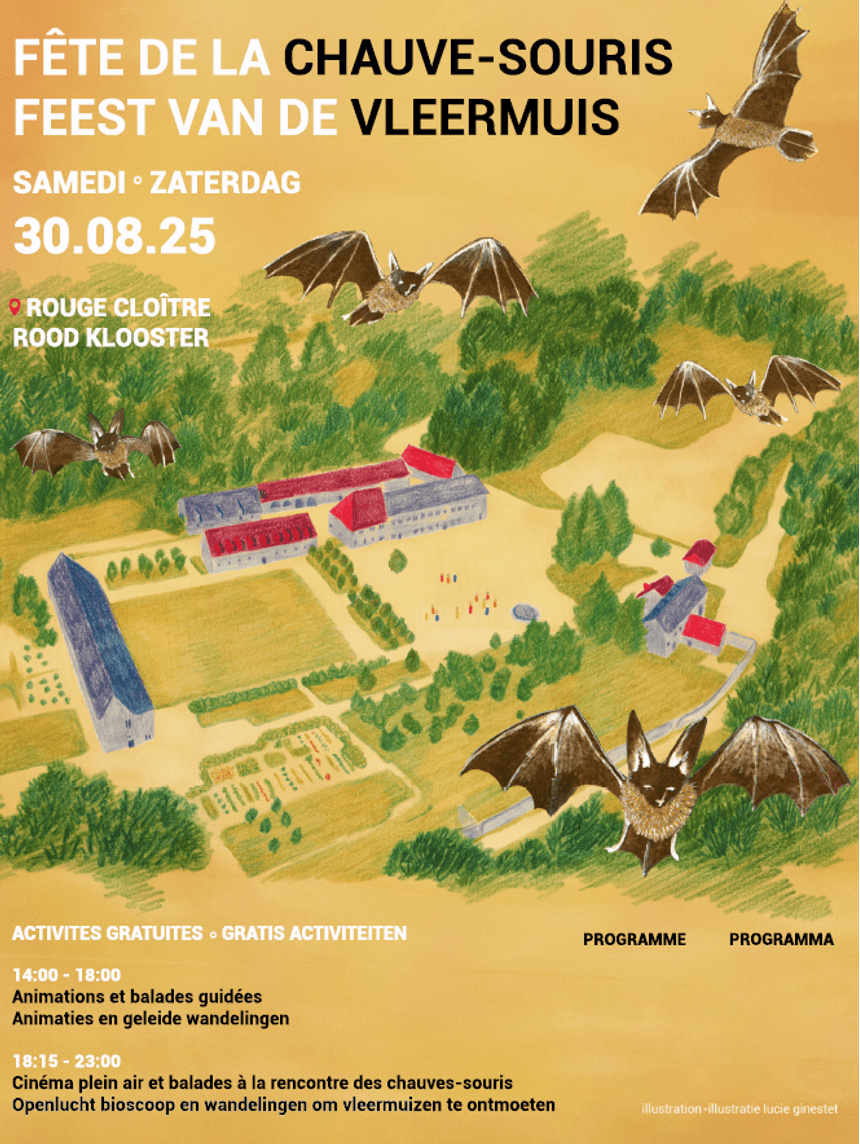 Affiche Fête de la chauve-souris