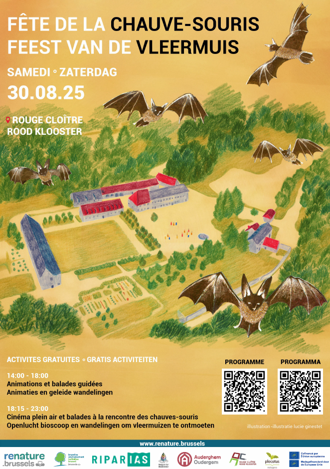 Affiche Fête de la chauve-souris