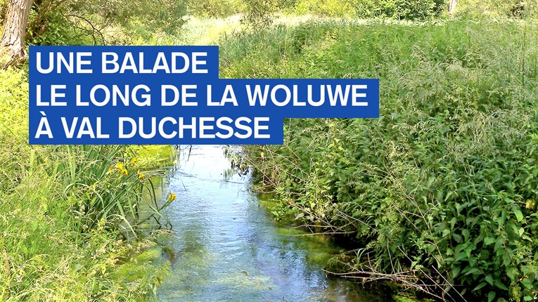 Balade le long de la Woluwe dans le domaine de Val Duchesse