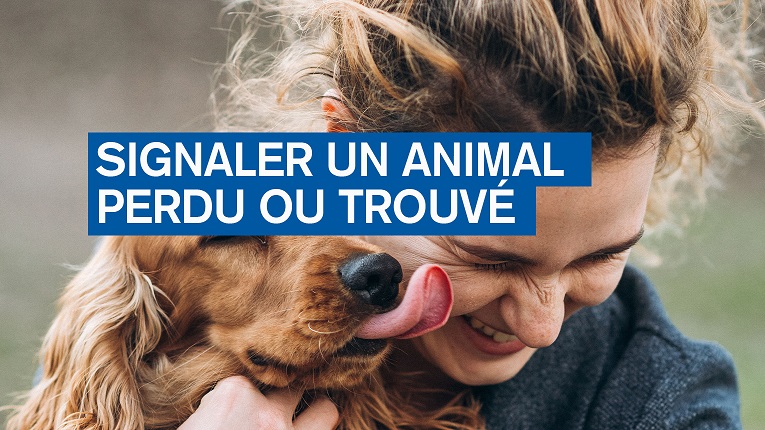 Signaler un animal perdu ou trouvé