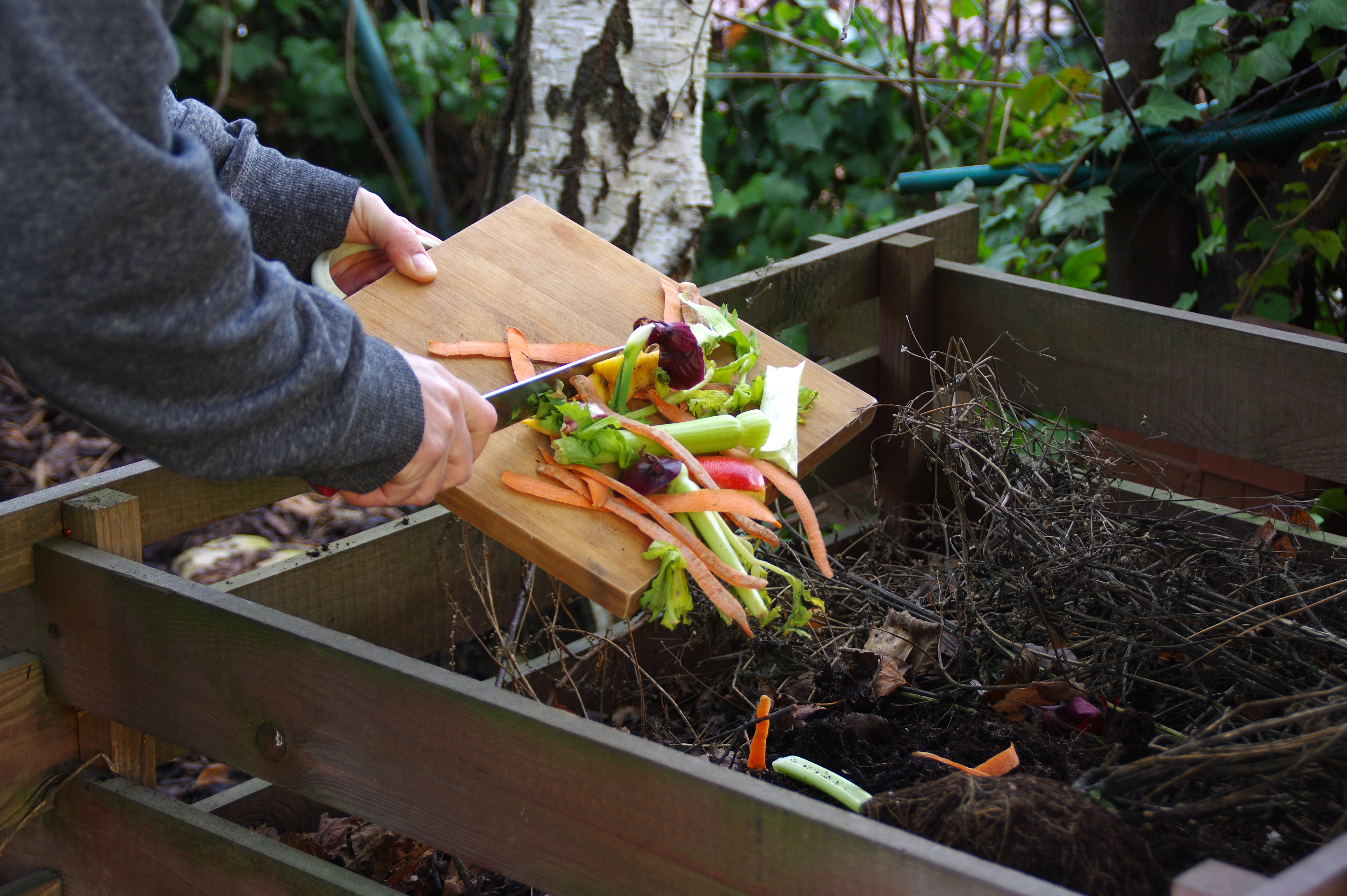 Compost