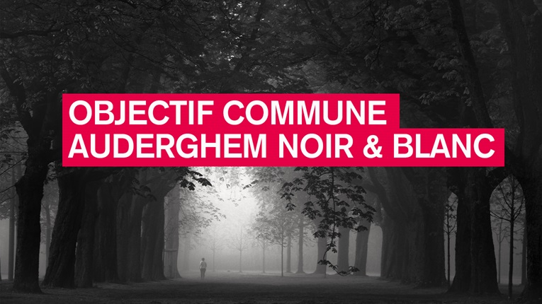 concours photo