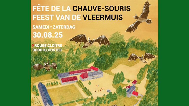Fête de la chauve-souris