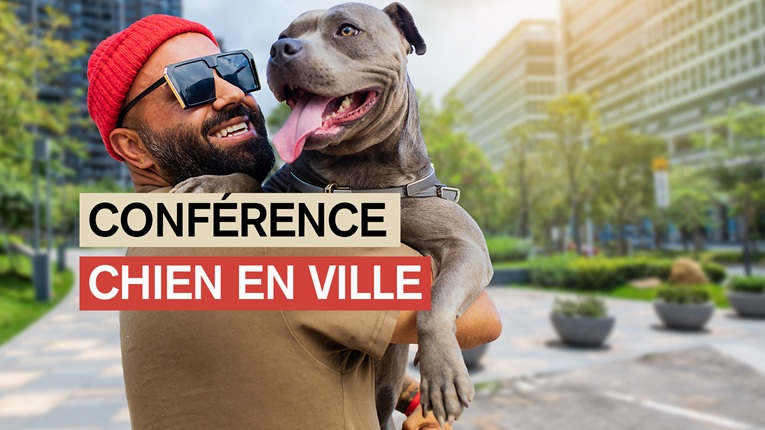 Conférence : chien en ville