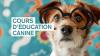 Cours d'éducation canine